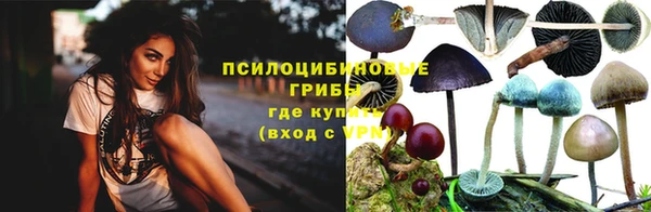 молекула духа Алзамай