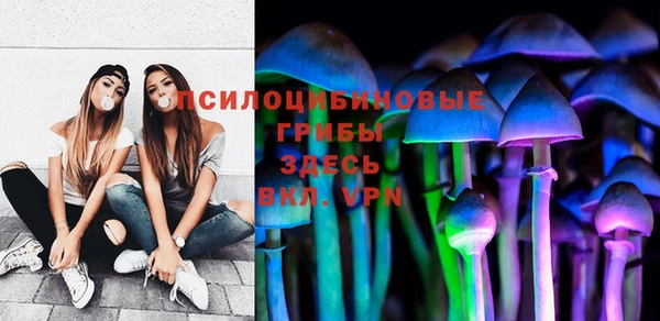 молекула духа Алзамай