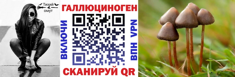 где купить наркоту  Санкт-Петербург  Галлюциногенные грибы мицелий 