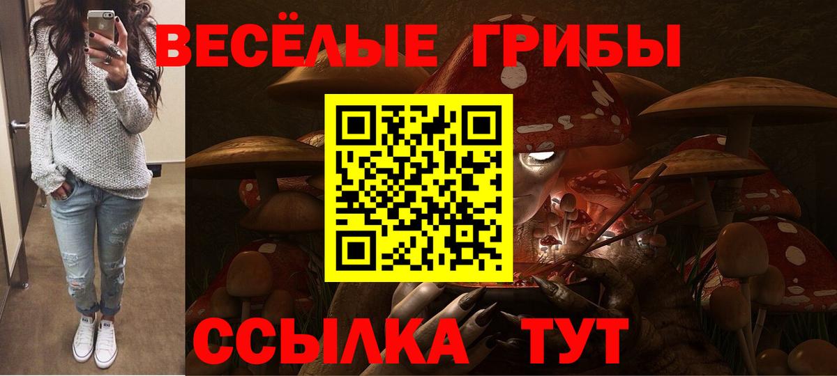 Санкт-Петербург  Галлюциногенные грибы прущие грибы  Вход с VPN  Галлюциногенные грибы ЛСД 